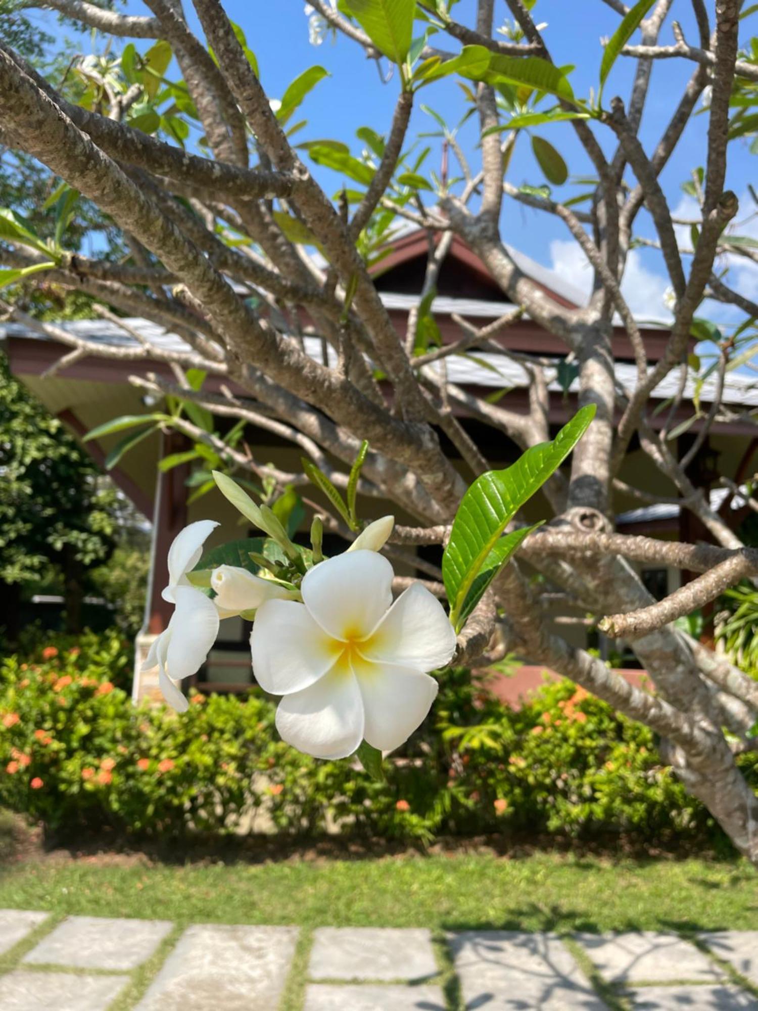 Grand Manita Beach Resort Lamai Beach  Bagian luar foto